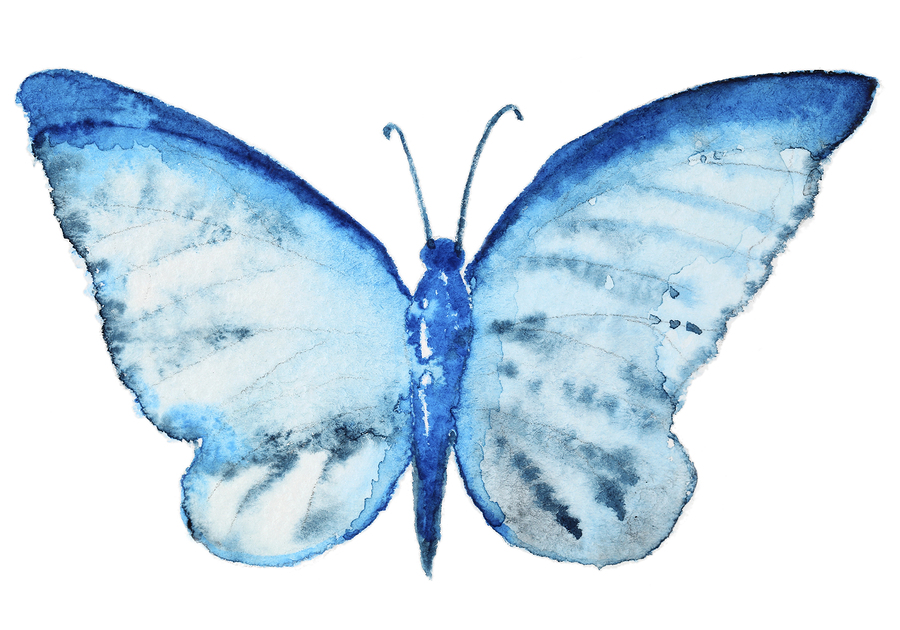 The Butterfly Effect: Why Our Voices Matter